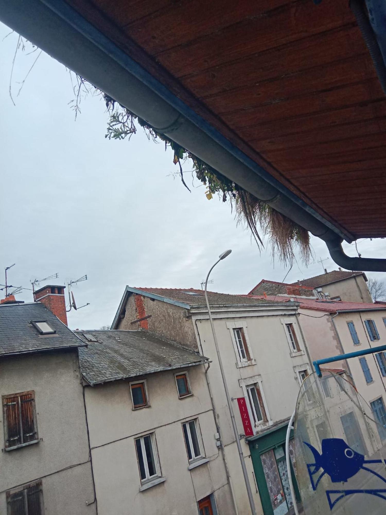 La Coquille D'Or Ξενοδοχείο Aixe-sur-Vienne Εξωτερικό φωτογραφία